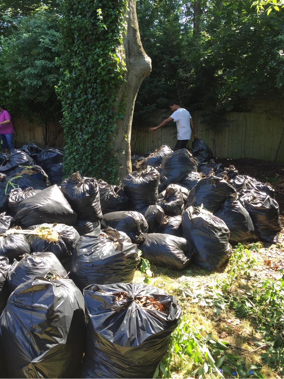 SW1X Waste Clearing Companies Belgravia